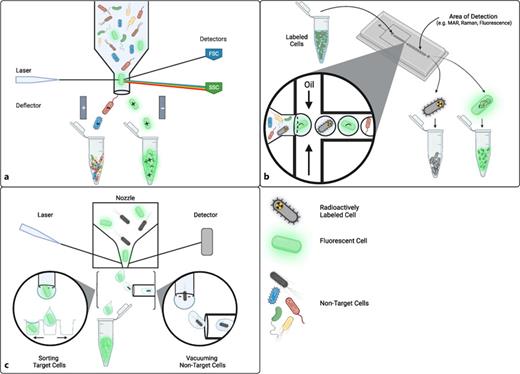 Sorting techniques for prokaryotic cells. Cells can be subjected to labelling procedures prior to analysis or analyzed directly based on intrinsic sorting factors. a Flow-cytometry. Cells are diluted to a concentration, where single-cell droplets statistically occur. Cells in droplets are analyzed based on size, granularity, and/or fluorescence. Target cells can be chosen from the scattergrams based on the respective parameters and droplets are being charged accordingly. Deflectors guide the charged droplets to corresponding collection vessels (e.g., Eppendorf tubes or well plates). b Microfluidics platform. Cells are loaded onto the device in aqueous phase. Following a laminar flow droplet formation is accomplished by orthogonal oil application resulting in distinct droplets containing a single cell. Between droplet formation and ultimate sorting decision droplets can be analyzed, e.g., via fluorescence detectors, photodiodes, or Raman detectors (not shown). c Cell printer. Cells are diluted to a concentration, at which single-cell events occur at the tip of the nozzle where the droplet is formed by a piezo-actuated deflection of a silicon membrane. A fluorescence detector decides the fate of the droplet. Non-fluorescent droplets are eliminated from collection by a vacuum tube. Target cells are collected in batch (Eppendorf tube) or as single cells by use of microtiter plates (left inset). FSC, forward scatter; SSC, side scatter; MAR, microautoradiography. Created with Biorender.