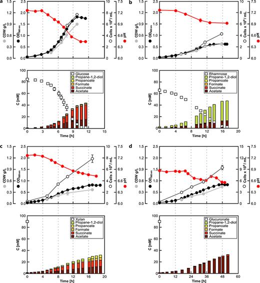 Anaerobic growth performance of P. vulgatus with four selected substrates. a Glucose. b Rhamnose. c Xylan. d Glucuronate. The upper panels display monitored growth parameters, i.e., optical density (OD), total cell numbers (cells), cellular dry weight (CDW), and pH. The lower panels present the profiles of substrate depletion and fermentation product formation (compounds indicated in the insert) as determined by HPLC analysis; compound concentrations are denoted as mMCarbon (mMC) to consider the different carbon content of the studied substrates.