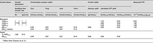 Determined parameters, fermentation products, and ATP yields/concentrations during growth of P. vulgatus with glucose