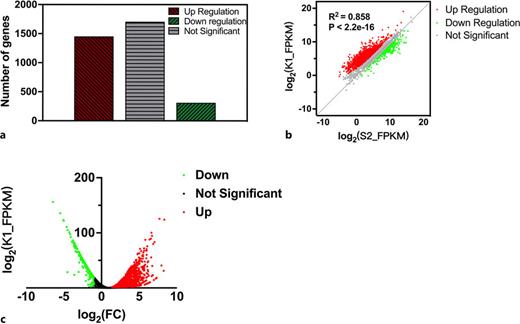 Differential gene correlation analysis of RNA-seq. a Differential gene statistics. b Differential gene volcano plot. c Expression correlation scatter plot.