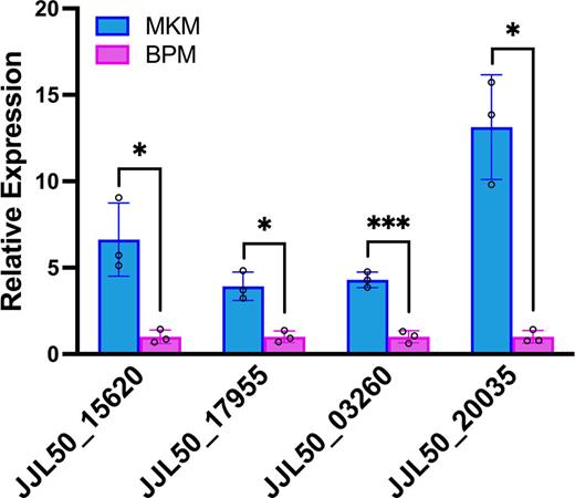 qRT-PCR analysis of selected differentially expressed genes involved in the utilization of keratin (MKM) or BPM by S. maltophilia DHHJ (one star represents p < 0.05; three stars represent p < 0.005). MKM, M9 keratin medium.