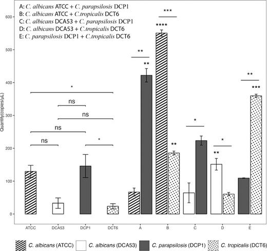 Absolute qPCR expression of HWP1 gene in single (A) and mixed culture of Candida species growing 20 h. A: C. albicans ATCC + C. parapsilosis DCP1, B: C. albicans ATCC + C. tropicalis DCT6, C: C. albicans DCA53 + C. parapsilosis DCP1, D: C. albicans DCA53 + C. tropicalis DCT6, E: C. parapsilosis DCP1 + C. tropicalis DCT6. Asterisks indicate p ≤ 0.05.