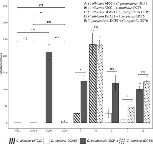 Absolute qPCR expression of ALS3 gene in single (A) and mixed culture (B, C, D, E, F) of Candida species growing 20 h. A: C. albicans ATCC + C. parapsilosis DCP1, B: C. albicans ATCC + C. tropicalis DCT6, C: C. albicans DCA53 + C. parapsilosis DCP1, D: C. albicans DCA53 + C. tropicalis DCT6, E: C. parapsilosis DCP1 + C. tropicalis DCT6. Asterisks indicate p ≤ 0.05.