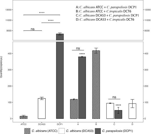 Absolute qPCR expression of SAP1 gene in single (A) and mixed culture (B, C, D, E, F) of Candida species growing 20 h. A: C. albicans ATCC + C. parapsilosis DCP1, B: C. albicans ATCC + C. tropicalis DCT6, C: C. albicans DCA53 + C. parapsilosis DCP1, D: C. albicans DCA53 + C. tropicalis DCT6. Asterisks indicate p ≤ 0.05.