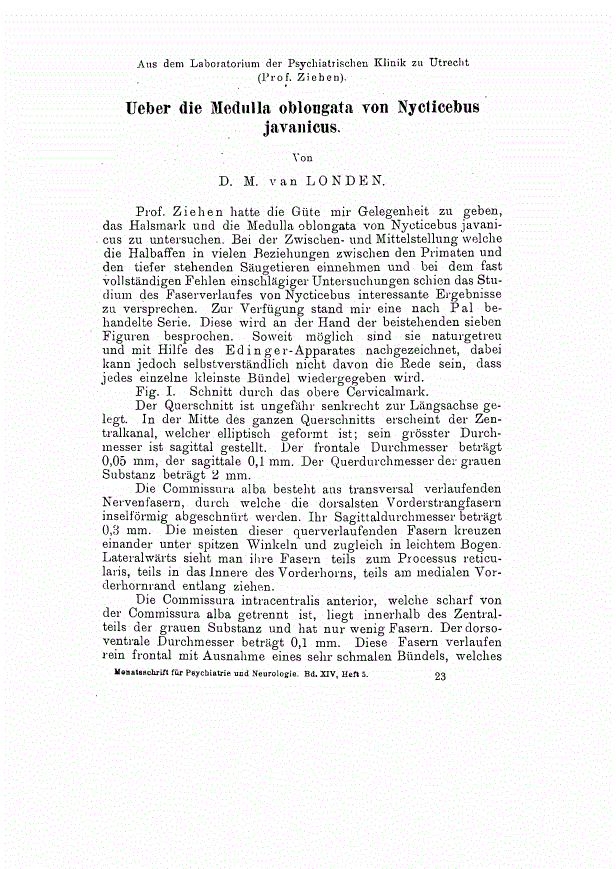 First page of Ueber die Medulla oblongata von Nycticebus javanicus.