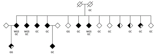 Fig. 1. K1561 showing 7 BPI, 2 BPII and 2 recurrent unipolar depression cases. The fully filled in diamonds are BPIs, three-quarter filled BPIIs and half filled recurrent major depression. The subjects' whole genome sequences are denoted by WGS. The pedigree was ascertained via the oldest BPI individual in the second generation. Of the 7 BPI cases, 6 have children: two with four each, three with two each and one with three.