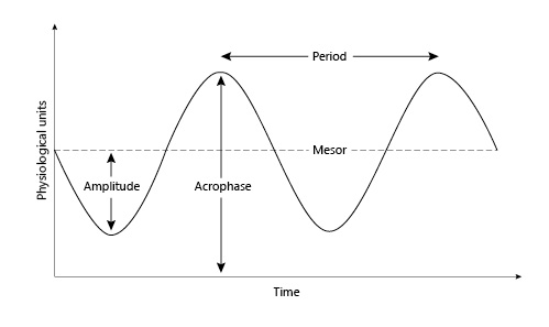  Cosinor curve frequently used to represent circadian rhythms. In cosinor modeling, period is the duration of one cycle, amplitude is the peak value from a wave’s mean, acrophase is a measure of the time of overall high values recurring in each cycle, and mesor is the rhythm-adjusted mean.