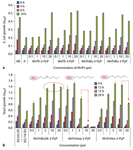 Fig. 4. The efficacy of Mn porphyrins in protecting SOD-deficient organisms when grown aerobically: prokaryotic E. coli and eukaryotic S. cerevisiae. a SOD-deficient E. coli (JI132) grew in M9CA medium. The wild type AB1157 and SOD-deficient strain JI132 were used. Growth was followed turbidimetrically by measuring the absorbance at 600 nm as described in details elsewhere [69,74]. b The wild-type yeast S. cerevisiae strain used was EG103, which has a complete genotype of MAT α, leu2, his3, trp1 and ura3. The sod1 Δ mutant S. cerevisiae strain, lacking Cu,ZnSOD, was EG118, which has a complete genotype of MAT α, leu2, his3, trp1, ura3 and sod1 Δ::URA3 [83]. Yeast grew in medium that contained peptone agar supplemented with 2% dextrose and yeast extract. Growth was followed turbidimetrically by measuring the absorbance at 600 nm. Modified from Rajic et al. [24].