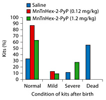 Fig. 11. The rabbit cerebral palsy model. MnTnHex-2-PyP5+ was used at 2 doses, 0.12 and 1.2 mg/kg. The higher dose indicated slight toxicity and suggested that it outbalanced somewhat the benefit of drug. Drug was given intravenously 30 min before and 30 min after 40-min ischemia in two 30-ml volumes (total 60 ml per rabbit dam). The ability of MnTnHex-2-PyP5+ to cross several membranes (uterus, placenta, fetus and fetal brain) and enter mitochondria likely contributed to its efficacy. Adapted from Drobyshevsky et al. [161].