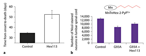 Fig. 12. The effect of MnP in the G93A amyotrophic lateral sclerosis mouse model. The effect of 0.3 mg/kg/day of MnTnHex-2-PyP5+ on the survival (a) and motor neuron preservation (b) when delivered intraperitoneally from the onset of disease until death. Adapted from Crow [179].