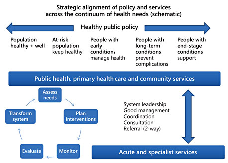 Fig. 2. Strategic alignment of policy and services across the continuum of health needs.