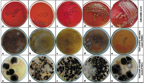 Fig. 2. Microbial evaluation of AB Slim® (a), Chinese Super Slim® (b), Malaysian Super Slim® (c), Zotreem Extra® (d), and Zotreem Plus® (e). The upper, middle, and lower panels show contamination with Salmonella on xylose lysine deoxycholate agar plates (colonies with a black center), the total aerobic microbial count (TAMC), and the total yeast microbial count (TYMC), respectively.