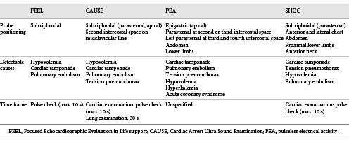 Summary of ultrasonographic protocols