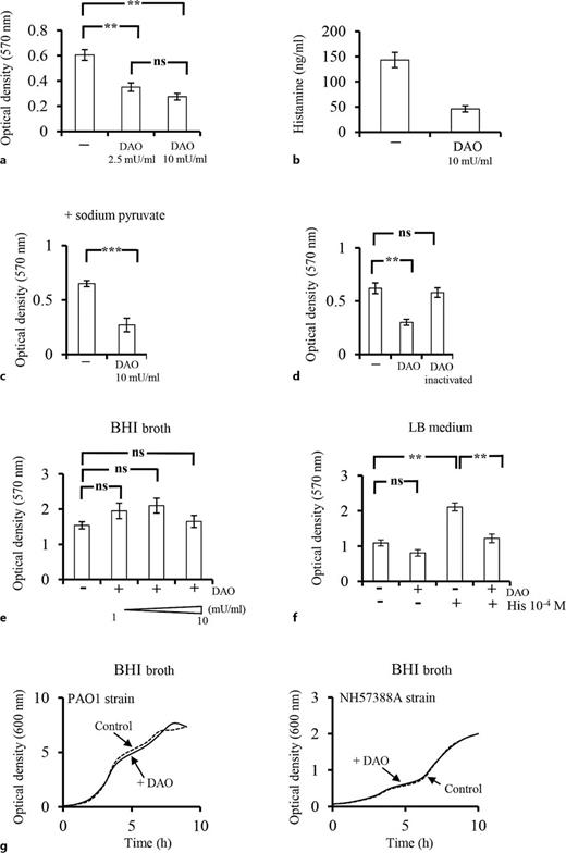 Effect of DAO on P. aeruginosa biofilm formation. a The PAO1 strain in BHI broth was added to polystyrene plates in the absence (−) or presence of DAO. After 18 h, biofilms were quantified as described in the Materials and Methods section. The data represent mean values ± SEM of 14 independent experiments. **p < 0.01 as determined by a one-way ANOVA with post hoc Bonferroni test. Ns, not significant. b The concentration of histamine in the BHI broth incubated without (−) or with DAO (10 mU/mL) for 18 h at 37°C was measured by ELISA. c Experiments similar to the ones described in (a) were performed using BHI broth-containing sodium pyruvate (10 mm). The data represent mean values ± SEM of 5 independent experiments. ***p < 0.01 as determined by a paired Student’s t test. d Experiments similar to the ones described in (a) were performed using heat inactivated DAO (10 mU/mL). The data represent mean values ± SEM of 11 independent experiments. **p < 0.01 as determined by one-way ANOVA with post hoc Bonferroni test. Ns, not significant. e The mucoid NH57388A strain in BHI broth was added to polystyrene plates in the absence (−) or presence of DAO. Biofilms were quantified as described in (a). The data represent mean values ± SEM of 8–13 independent experiments. Ns, not significant as determined by one-way ANOVA with post hoc Bonferroni test. f The mucoid NH57388A in LB medium was added to polystyrene plates in the absence (−) or presence of DAO (10 mU/mL), histamine (His) (10−4m) or a combination of DAO (10 mU/mL) and histamine (His) (10−4m). After 18 h, biofilms were quantified as described in (a). The data represent mean values ± SEM of 6 independent experiments. **p < 0.01 as determined by one-way ANOVA with post hoc Bonferroni test. Ns, not significant. g The PAO1 strain (left panel) or the mucoid strain (right panel) were incubated in BHI broth in the absence (control) or presence of DAO (10 mU/mL). After each hour, turbidimetry was read to record bacterial growth. A representative experiment is shown.