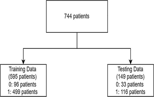 The training and testing sets used for external validation.