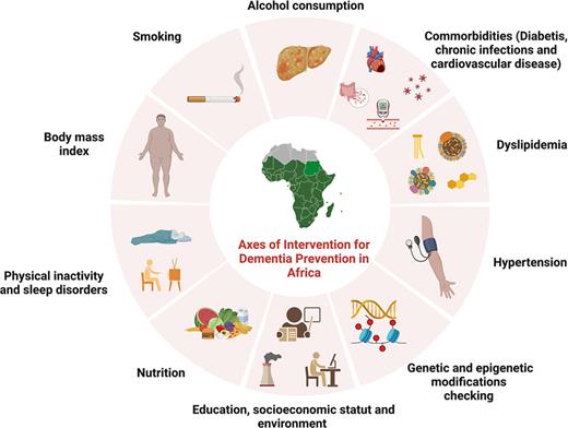 Summary of possible areas of intervention for dementia prevention in Africa. This illustration describes the areas of intervention essential for preserving cognitive health in Africa’s diverse landscapes. From community education to targeted healthcare, these strategies address the unique challenges faced by the continent in its fight against dementia.