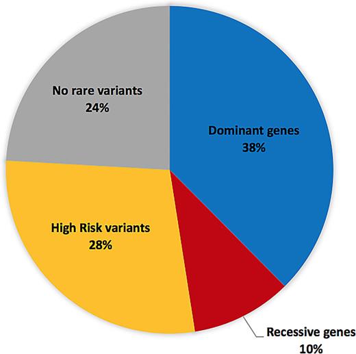 Pie plot showing the genetic architecture of PD in Moroccan cohort. In this North African population, 38% of PD patients carry the pathogenic LRRK2 p.G2019S mutation, 10% carry a biallelic pathological variant in the known recessive PD genes, 28% have one or more rare high-risk variants, and finally, 24% do not have such variants in the twenty PD genes analyzed.