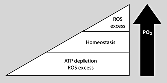 Fig. 3. Oxygen tension and cellular homeostasis. Both an increase and a decrease in oxygen tension lead to oxidative stress. ROS = Reactive oxygen species.