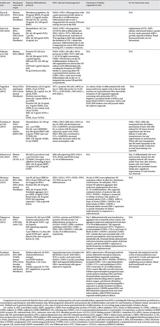 Recent protocols for directed differentiation of human pluripotent stem cells into renal progenitor cells and kidney organoids