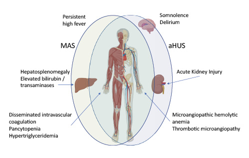  Overlapping clinical features associated with aHUS and MAS.