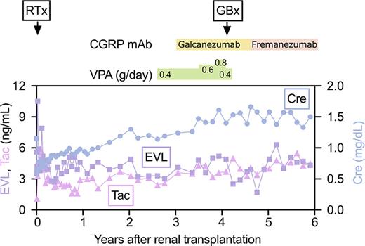 Clinical course after RTx. RTx, renal transplantation; GBx, graft biopsy; EVL, blood levels of everolimus; Tac, blood levels of tacrolimus; Cre, serum creatinine; VPA, valproic acid dosage; CGRP mAb, anti-calcitonin gene-related peptide monoclonal antibody.