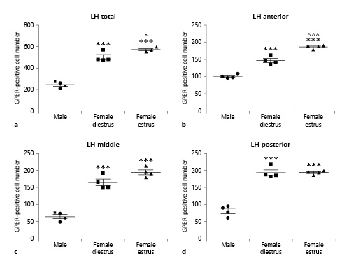 Number of GPER-immunoreactive cells in the lateral hypothalamus (LH) of male (n = 5), diestrous female (n = 4), and estrous female (n = 4) rats. a LH as a whole. b Anterior portion of the LH. c Middle portion of the LH. d Posterior portion of the LH. Data are presented as mean ± SEM. ***Significant differences (p < 0.001) versus male values. ^,^^^Significant differences (^p < 0.05, ^^^p < 0.001) versus females in diestrus. GPER, G protein-coupled estrogen receptor 1.
