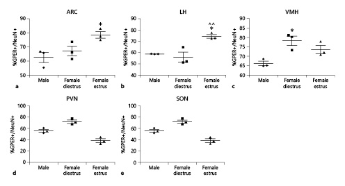 Proportion of NeuN-immunoreactive neurons that were also immunoreactive for GPER in the hypothalamus of male (n = 3), diestrous female (n = 3), and estrous female (n = 3) rats. a Arcuate nucleus (ARC). b Lateral hypothalamus (LH). c Ventromedial hypothalamus (VMH). d Paraventricular nucleus (PVN). e Supraoptic nucleus (SON). Data are presented as mean ± SEM. *Significant difference (p < 0.05) versus male values. ^^Significant difference (p < 0.01) versus females in diestrus. GPER, G protein-coupled estrogen receptor 1.