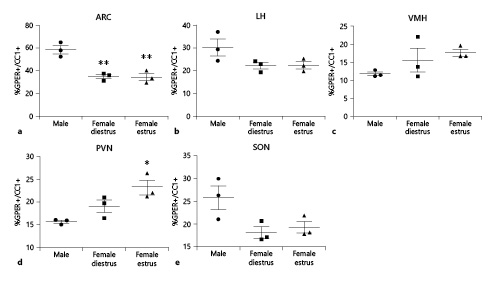 Proportion of CC1-immunoreactive oligodendrocytes that were also immunoreactive for GPER in the hypothalamus of male (n = 3), diestrous female (n = 3), and estrous female (n = 3) rats. a Arcuate nucleus (ARC). b Lateral hypothalamus (LH). c Ventromedial hypothalamus (VMH). d Paraventricular nucleus (PVN). e Supraoptic nucleus (SON). Data are presented as mean ± SEM. *,**Significant differences (*p < 0.05, **p < 0.01) versus male values. GPER, G protein-coupled estrogen receptor 1.