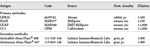 List of primary and secondary antibodies used for immunohistochemistry