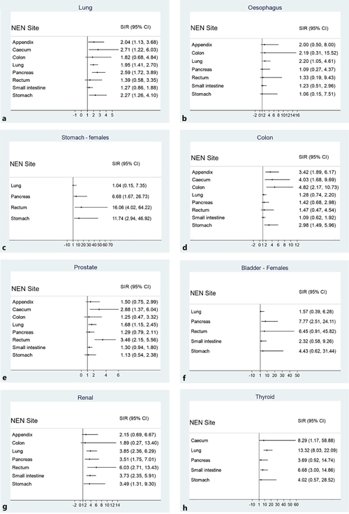 SIRs for non-NEN cancers occurring post-NEN diagnosis when stratified by NEN type. Non-NEN cancer sites: a Lung. b Oesophagus. c Stomach (females only). d Colon. e Prostate. f Bladder (females only). g Renal. h Thyroid. SIRs are for incidence of non-NEN cancer. NEN, neuroendocrine neoplasm; SIR, Standardized incidence ratio; 95% CI, 95% Confidence Interval.