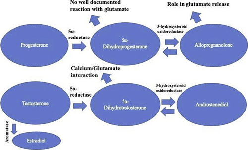 Neurosteroid metabolites of testosterone and progesterone and known effects on glutamatergic and GABAergic neurotransmission.