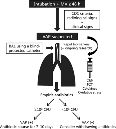 Ventilator-Associated Pneumonia in Neonatal Patients: An Update ...