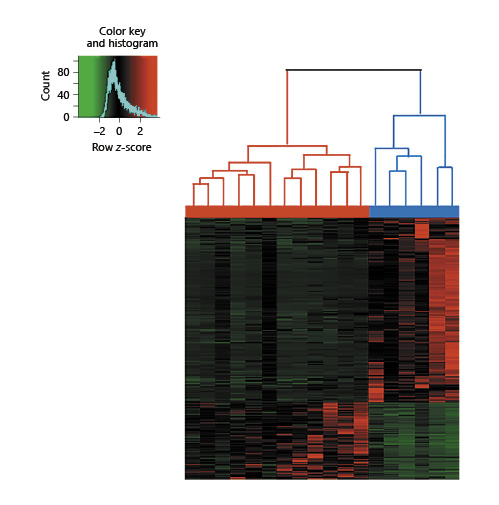 Fig. 3. Unsupervised hierarchical clustering of 18 babies (12 babies with neonatal encephalopathy and 6 healthy babies, horizontal axis), with 950 genes derived from negative binomial likelihood tests. Each column represents a patient and each line a gene. Upregulated genes are represented in red and downregulated genes in green. The red bar represents neonatal encephalopathy (n = 12), and the blue bar represents healthy control babies (n = 6).