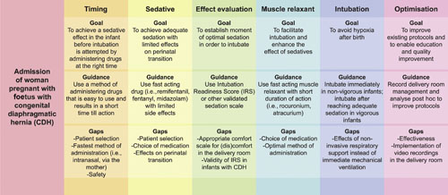 Guidance on clinical practice and overview of current knowledge gaps in pre-intubation medication practices in infants with CDH.