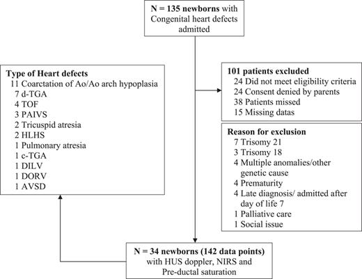 Study flowchart. This figure outlines the flow diagram of patient inclusion and exclusion. Ao, aorta; TGA, transposition of great arteries; TOF, Tetralogy of Fallot; PAIVS, pulmonary atresia with intact ventricular septum; HLHS, hypoplastic left heart syndrome; DILV, double inlet left ventricle; DORV, double inlet right ventricles; AVSD, atrioventricular septal defect; HUS, head ultrasound; NIRS, near-infrared spectroscopy.