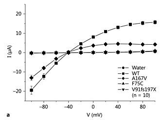 Fig. 1. a Averaged current/voltage curves obtained in Xenopus oocytes injected with 2 ng WT or mutant KCNJ10 cRNA. Oocytes expressing KCNJ10 F75C and V91fs197X are indistinguishable from water-injected oocytes. Oocytes were held in 20 mM K+ at -40 mV and clamped from +100 to -100 mV in 20 mV steps. Note that currents reversed around -40 mV due to the 20-mM K+ solution used. Three batches of oocytes were analysed. b Analysis of the chord conductance between -100 and 0 mV. c Barium (100 μM) inhibited more strongly the inward component of WT and A167V mutant currents.