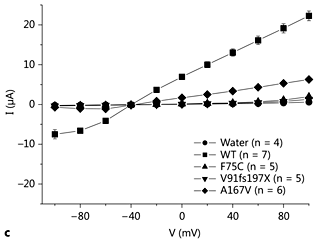 Fig. 1. a Averaged current/voltage curves obtained in Xenopus oocytes injected with 2 ng WT or mutant KCNJ10 cRNA. Oocytes expressing KCNJ10 F75C and V91fs197X are indistinguishable from water-injected oocytes. Oocytes were held in 20 mM K+ at -40 mV and clamped from +100 to -100 mV in 20 mV steps. Note that currents reversed around -40 mV due to the 20-mM K+ solution used. Three batches of oocytes were analysed. b Analysis of the chord conductance between -100 and 0 mV. c Barium (100 μM) inhibited more strongly the inward component of WT and A167V mutant currents.