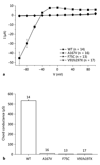 Fig. 2. a Averaged current/voltage curves obtained in Xenopus oocytes injected with 2 ng WT or mutant KCNJ10 cRNA and 4 ng KCNJ16 cRNA. Note the more pronounced inward rectification in WT KCNJ10/16 heteromeric channels (‘WT' in the figure). KCNJ10 A167V/KCNJ16 (‘A167V') showed current significantly different from the 2 non-functional mutations (‘F75C' and ‘V91fs197X'), but these currents were so low that currents from all mutations virtually superimpose. b Analysis of the chord conductance between -100 and 0 mV. Conductances as a percentage of WT KCNJ10: A167V, 1.7%; F75C, 0.7%; V91fs197X, 0.7%. The latter 2 are consistent with conductances endogenous to the oocyte.
