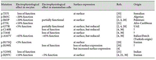 A compilation of KCNJ10 mutations on which functional data have been published to date