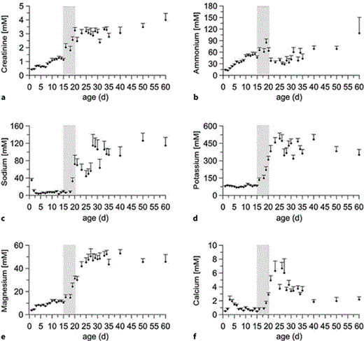 Fig. 2. Urinary concentration of creatinine (a) and different cations (NH4+, Na+, K+, Mg2+ and Ca2+) (b-f) during postnatal development of mice. The weaning phase is highlighted by a gray background. Data are shown separately for male and female mice in online supplementary figure 1.