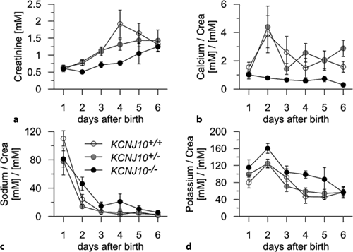Fig. 4. Example of pathological urinary excretion profile in genetically modified newborn mice during the first 6 postnatal days. Urinary excretion of creatinine (a), Ca2+ (b), Na+ (c), and K+ (d) of newborn KCNJ10 wild-type (white symbols, n = 5-20), heterozygous (gray symbols, n = 5-31), and knockout (black symbols, n = 4-18) mice is shown.