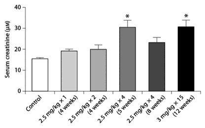 Fig. 2. Kidney function in male C57BL/6 mice treated with AAI at varying dose and frequency. Kidney function was assessed by measuring serum creatinine concentrations (µM) in mice treated with different doses of AAI (the x-axis labels show AAI concentration used per injection with number of injections given and overall duration in brackets). Data represent mean ± SEM; n = 3–5 per group. * Indicates statistical significance compared to the control group.