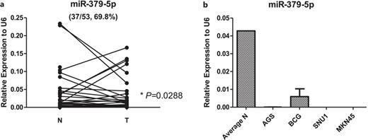 Expression of miR-379-5p in gastric cancer tissue samples and cell lines. a Expression of miR-379-5p was significantly downregulated in gastric cancer tissue samples (N = 53 pairs, N, non-tumor tissue; T, tumor tissue; downregulated in 37 out of 53 pairs, 69.8%, *p = 0.0288). b Expression of miR-379-5p was significantly downregulated in gastric cancer cell lines AGS, BCG23, SNU1, and MKN45, comparing with its average expression in non-tumor tissue samples. U6 was applied as an internal control for miR-379-5p in tissue samples and cell lines.