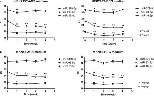Endogenous expression of miR-379-5p in HEK293 and MKN45 cells. a Endogenous expression of miR-379-5p was highly expressed in HEK293T cells (as indicated in Ct) with cell culture medium of AGS or BCG23. The Ct values of miR-16-5p and miR-93-5p were also shown to indicate the alterations of miRNAs other than miR-379-5p (*p < 0.01, **p < 0.05). b Endogenous expression of miR-379-5p was not highly expressed in MKN45 cells with cell culture medium of AGS or BCG23 cells.