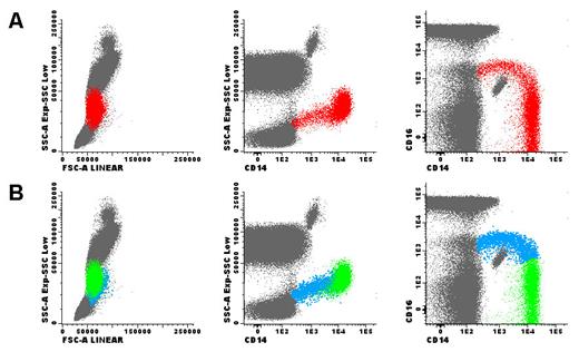 Fig. 1. Total monocytes (red dots) were selected in the SSC versus CD14 dot plot, based on the expression of CD14 (panel A). Afterwards, classical CD14+ CD16- monocytes (green dots) and pro-inflammatory CD14+ CD16+ monocytes (blue dots) were identified in the CD16 vs. CD14 dot plot, based on the expression of CD14 and CD16 (panel B). Subsequently, these two monocyte populations were gated and separately analyzed for the levels of CD11b, CD14 and CD36 expression, using theMFI obtained for each marker; the FSC and SSC were also measured. Finally, the ratio between the values obtained on CD14+ CD16+ and CD14+ CD16- monocytes was calculated, for each parameter and in each individual. CD14 and CD16 positivity were defined using fluorescence minus one controls. Other leukocytes are represented as gray dots. Dot plots showed in this figure were obtained using the Infinicyt software (Cytognos).
