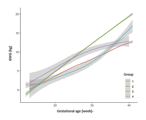Fig. 2. Patterns of gestational weight gain in women with overweight or obesity throughout pregnancy.