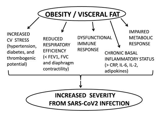 Fig. 1. Multiple pathways potentially linking obesity and visceral fat to increased severity from SARS-CoV-2 infection and CO-VID-19 disease. CV, cardiovascular; FEV1, forced expiratory volume; FVC, forced vital capacity; CRP, C-reactive protein; IL-6, interleukin 6.