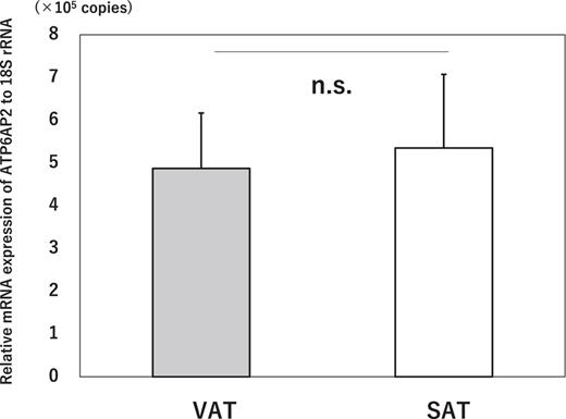 Comparison of expression levels of ATP6AP2 mRNA in visceral (VAT; gray box) and subcutaneous (SAT; white box) adipose tissues. Values are expressed as mean ± SD. n.s.: not significant.
