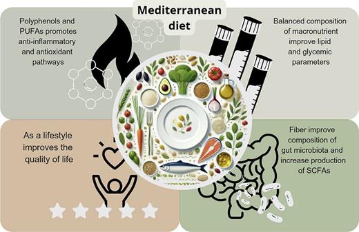 Favorable mechanisms of the Mediterranean diet in the patient with obesity and cancer.