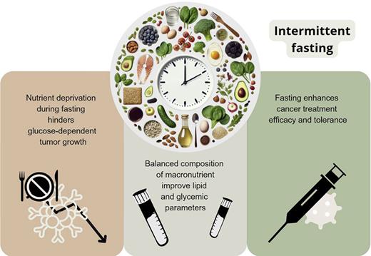 Favorable mechanisms of the IF in the patient with obesity and cancer.